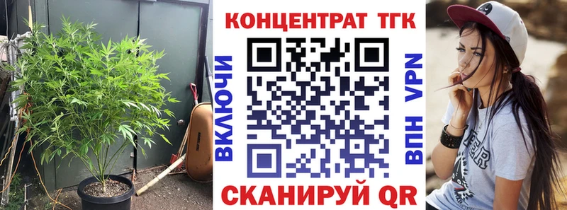 купить наркотики сайты  Карабулак  блэк спрут ТОР  ТГК вейп с тгк 