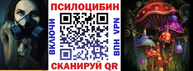 Галлюциногенные грибы Magic Shrooms  где можно купить   Карабулак 
