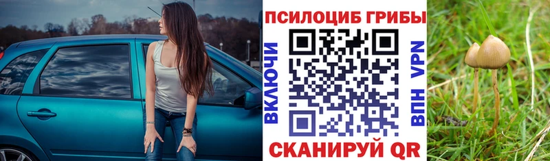 Псилоцибиновые грибы GOLDEN TEACHER Карабулак